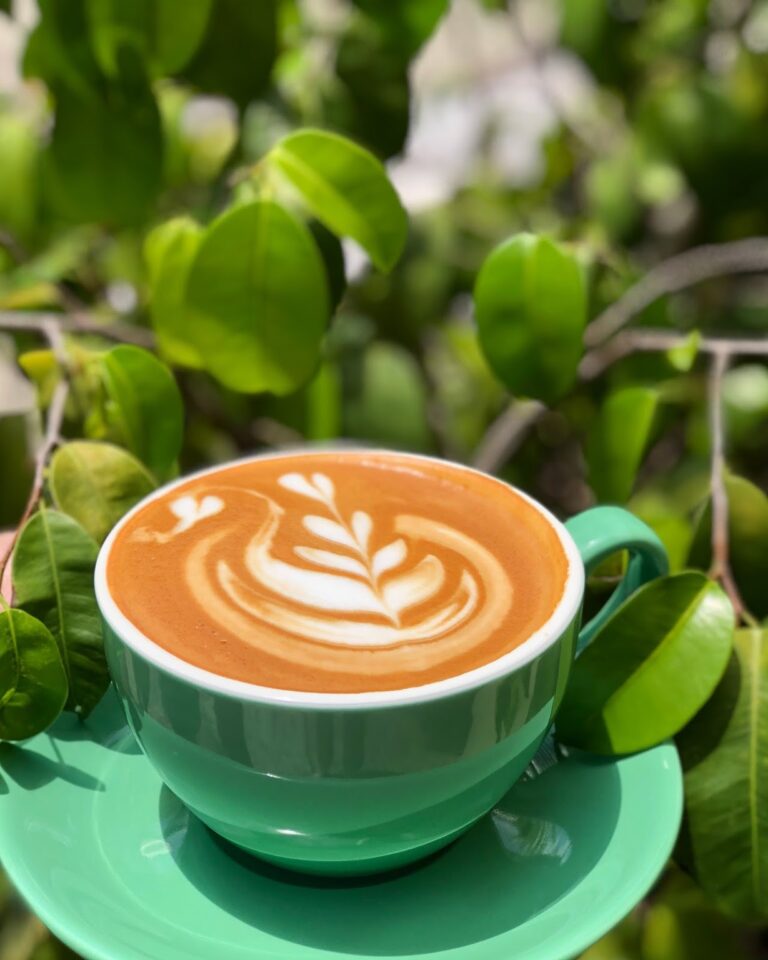 AF1QipMuJKSOZgzKne102ewAXf4bCNWOg1ZydCjVM4GV s1536 768x960