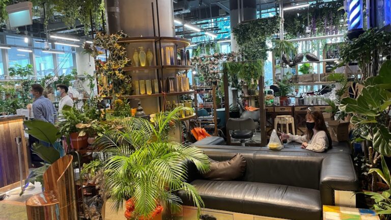 AF1QipO6VTmtRcKDnBCNsKRhna3gyWBnLr5m8IbYqmM6 s1536 768x432